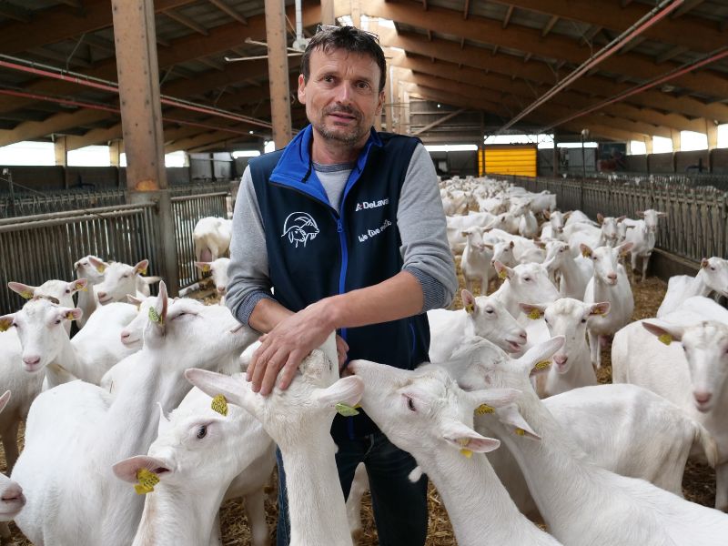 Le Chêne Blanc - Fromagerie à Parthenay